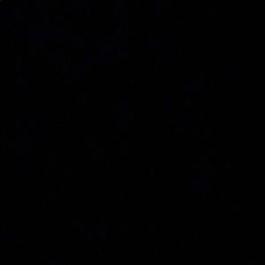 Meet your Posher, Tricia